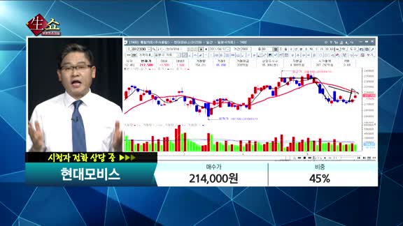  [종목상담]현대모비스(012330)