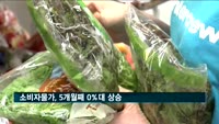 소비자물가, 5개월째 0%대 상승