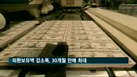 외환보유액 감소폭, 30개월 만에 최대…달러 강세 영향