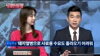 [애널리스트에게듣는다] 아픈 돼지와 건강한 경제