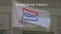 차기 여신금융협회장에 김주현 전 예보 사장