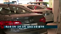 자동차 개별소비세 인하 실효성 논란…수입차 업체만 웃는다?