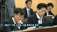 홍남기 "2022년까지 5대 소비재 수출액 350억 달러 달성"