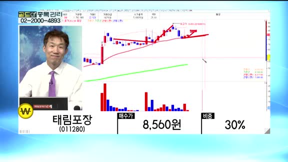 [골드의 종목관리] 유니온머티리얼(047400), SKC(011790), 태림포장(011280), 이마트(139480), 서진시스템(178320)