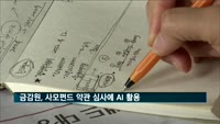 금감원, 사모펀드 약관 심사에 AI 활용