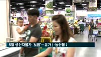 5월 생산자물가 '보합'…유가↑·농산물↓