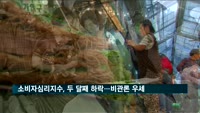 소비자심리지수, 두 달째 하락…비관론 우세
