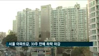 서울 아파트값, 33주 만에 하락 마감…"누적 매물 소화"