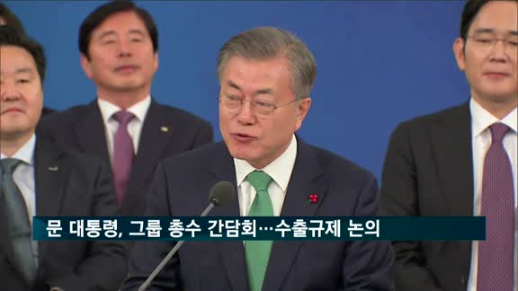 문 대통령, 30대 그룹 총수 간담회…'일 수출규제' 대책 논의
