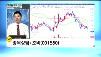 [골드의 종목관리]하이비젼시스템(126700), 조비(001550), SKC(011790)