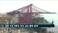 일본 수입 의존도 90% 넘는 품목 48개…"경제성장 위협"