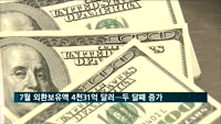 7월 외환보유액 4천31억 달러…두 달째 증가세