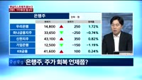 [애널리스트에게듣는다] 은행주, '가격 메리트'를 보자!