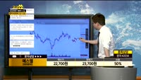  [종목상담]에스엘(005850)