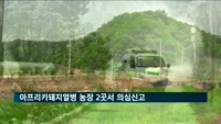 아프리카돼지열병 경기 파주 농장 2곳서 의심신고