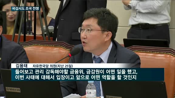 정무위 국감…조국 사모펀드 의혹 '도마 위'
