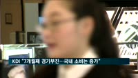 KDI "7개월째 경기부진…국내 소비는 증가"