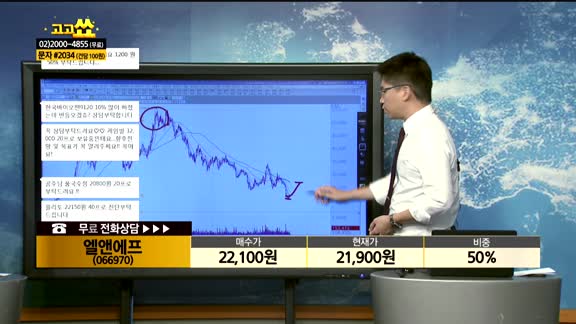 [종목상담]엘앤에프(066970)