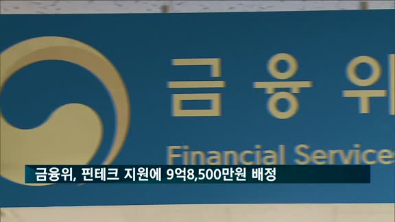 금융위, 핀테크 지원에 9억8천5백만원 배정…"핀테크기업 보안 강화"