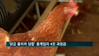 '닭값 올리려 담합' 종계업자 4곳, 수억원대 과징금