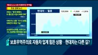 [애널리스트에게듣는다] 제네시스2.0과 미래차의 주역들