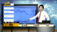  [종목상담]네패스(033640)
