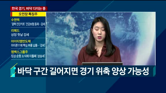 [애널리스트에게듣는다] 한국 경기, 바닥 다지는 중