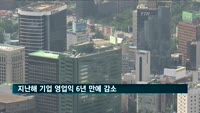 지난해 기업 영업익 6년 만에 감소…대기업만 증가