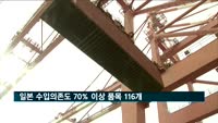 일본 수입의존도 70% 이상 품목 116개…"국산화 강화해야"