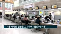 "서울 아파트 절반은 고가주택 대출규제 적용"