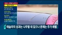 [애널리스트에게듣는다] 자동차, 모멘텀은 살아있다