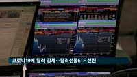 코로나19 확산에 달러 강세…달러선물ETF 수익률 선전
