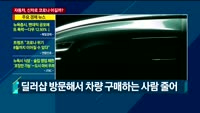 [애널리스트에게듣는다] 자동차, 신차로 코로나 이길까?