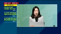 [애널리스트에게듣는다] 항공주 '충격'…희망은 없나?