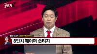 [빨간맛 종목] DB하이텍(000990)