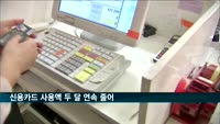 신용카드 사용액 두 달 연속 감소…온라인 소비 21%↑