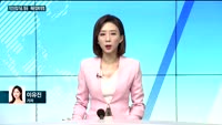 [전화연결] 21년 만에 코로나19로 머리맞댄 노사정…'40조원 규모' 기간산업기금, 항공·해운업에 방점