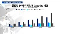 [애널리스트에게듣는다] 배터리 기업은 무엇을 해야 할까?