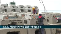 포스코, 해양생태계 복원 앞장…철강슬래그 활용해 '바다숲' 조성