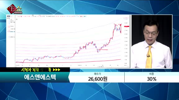 [종목상담] 에스앤에스텍(101490)