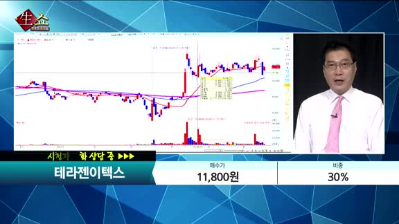 [종목상담] 테라젠이텍스(066700)    