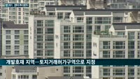 코로나19·北 리스크보다 부동산시장을 더 챙기는 정부…법인투기·갭투자 근절 골자로 한 21번째 부동산 대책 ...