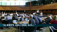 WTO "2분기 세계 무역, 코로나19 영향으로 18.5%↓"