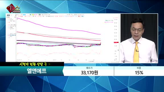 [종목상담] 엘앤에프(066970)   