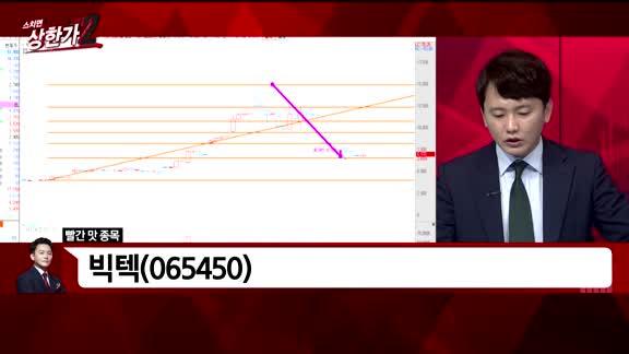 [빨간맛 종목] 빅텍(065450)