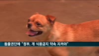 동물권 단체 "정부, 개 식용금지 약속 지켜야"…서울 곳곳 집회