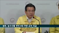정부, 이달말 농수산물 쿠폰부터 8대 쿠폰 순차 지급