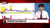 [빨간맛 종목] 현대바이오(048410)