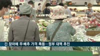 긴 장마에 무·배추 가격 폭등…정부, 수급안정 대책 추진