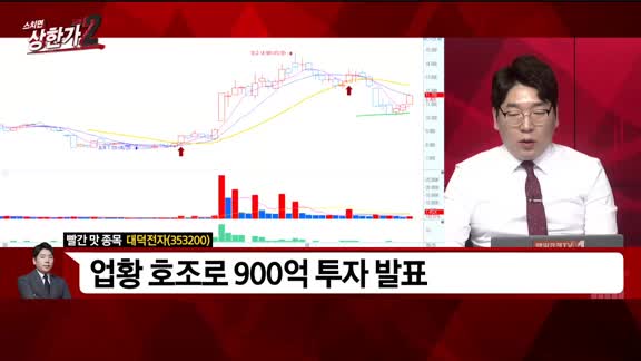 [빨간 맛 종목] 대덕전자(353200)